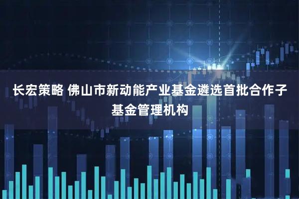 长宏策略 佛山市新动能产业基金遴选首批合作子基金管理机构