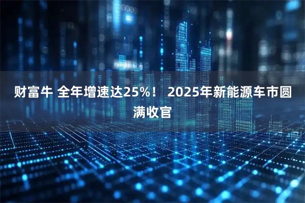 财富牛 全年增速达25%！ 2025年新能源车市圆满收官